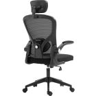 Крісло ігрове Sandberg ErgoFusion Gaming Chair Basic, чорне (640-97)