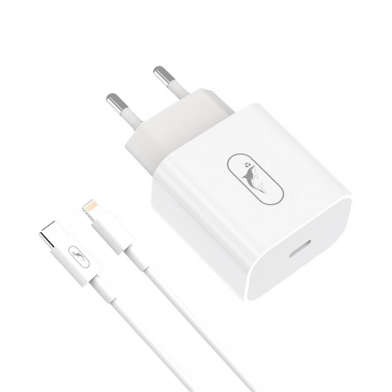 Мережевий зарядний пристрій SkyDolphin SC38T (USB TYPE-Cx2.4A) White + кабель Lightning (MZP-000182)