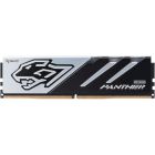 Модуль памяти DDR5 2x16GB/5600 Apacer Panther (AH5U32G56C5227BAA-2)