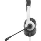 Гарнітура A4Tech FH100U Panda (FH100U (Panda))