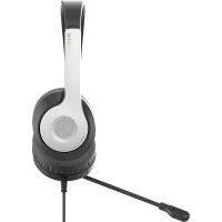 Гарнитура A4Tech FH100U Panda (FH100U (Panda))