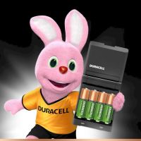 Зарядний пристрій Duracell CEF14 + AA/HR06 NI-MH 1300 mAh BL 2шт + AAA/HR03 NI-MH 750 mAh BL 2шт (5000394114500)