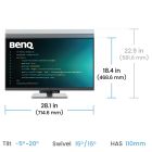 TFT 31.5" BenQ RD320U, 4K, IPS, 2хHDMI, DP, USB- C, USB-hub, HAS, Pivot, кол., сірий (9H.LMSLA.TBE)
