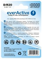 Акумулятор everActive D/HR20 10000mAh BL 2шт (2x EVHRL20-10000)