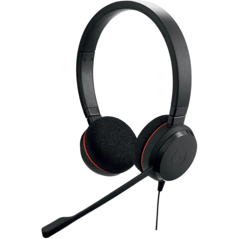 Гарнітура Jabra EVOLVE 20 MS Stereo + USB C/A adapter (4999-823-169)