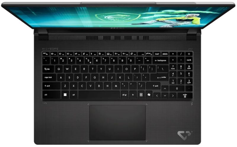 Ноутбук MSI Cyborg 15 Max C2WE-243XUA Platinum Gray (9S7-15T111-243)