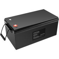 Акумулятор PowerPlant LiFePO4 24V 200Ah (LFP24200) (NV820641)