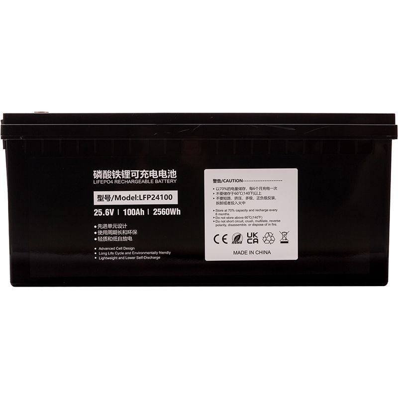 Акумулятор PowerPlant LiFePO4 24V 100Ah (LFP24100) (NV822447)