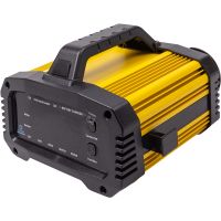 Зарядний пристрій для LiFePO4 акумуляторів 12V 25A / 24V 15A (NV822744)
