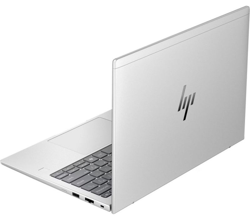 Ноутбук HP EliteBook 6 G1a 14 Silver (AY4Z7AV_V2)