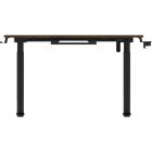 Компьютерный стол Sihoo D05 Walnut/Black (D05-104/D05-107)