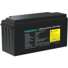 Акумуляторна батарея Marsriva LiFePO4, 12.8V/200Ah (MR-LBP12-200-LAR), 2.56kWh (MR-LBP12-200-LAR)