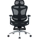 Крісло офісне Sihoo Doro C300 Pro Mesh Black with footrest (Doro-C300-Pro-M101-JT) (DORO-C300-PRO-M101-JT)