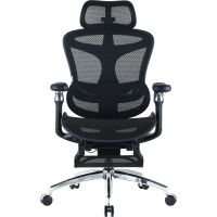 Крісло офісне Sihoo Doro C300 Pro Mesh Black with footrest (Doro-C300-Pro-M101-JT) (DORO-C300-PRO-M101-JT)