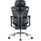 Крісло офісне Sihoo Doro C300 Pro Mesh Black with footrest (Doro-C300-Pro-M101-JT) (DORO-C300-PRO-M101-JT)