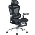 Крісло офісне Sihoo Doro C300 Pro Mesh Black with footrest (Doro-C300-Pro-M101-JT) (DORO-C300-PRO-M101-JT)