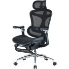 Кресло офисное Sihoo Doro C300 Pro Mesh Black with footrest (Doro-C300-Pro-M101-JT) (DORO-C300-PRO-M101-JT)