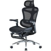 Кресло офисное Sihoo Doro C300 Pro Mesh Black with footrest (Doro-C300-Pro-M101-JT) (DORO-C300-PRO-M101-JT)