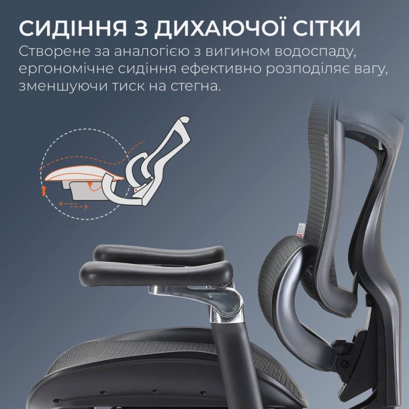 Кресло офисное Sihoo Doro C300 Pro Mesh Black with footrest (Doro-C300-Pro-M101-JT) (DORO-C300-PRO-M101-JT)