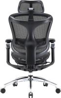 Крісло офісне Sihoo Doro C300 Pro Mesh Black (DORO-C300-PRO-M101)