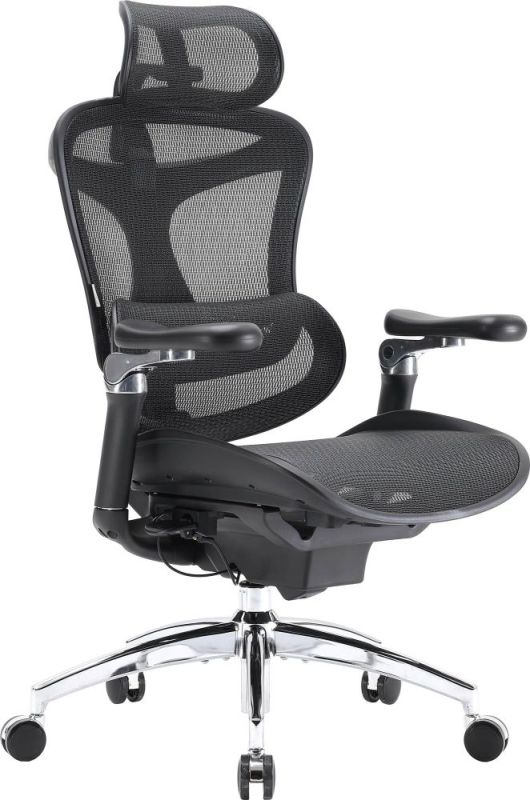 Кресло офисное Sihoo Doro C300 Pro Mesh Black (DORO-C300-PRO-M101)