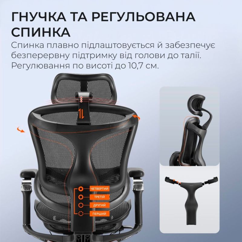 Крісло офісне Sihoo Doro C300 Pro Mesh Black (DORO-C300-PRO-M101)