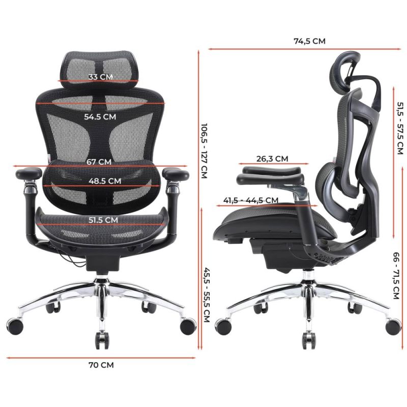 Кресло офисное Sihoo Doro C300 Pro Mesh Black (DORO-C300-PRO-M101)
