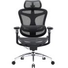 Кресло офисное Sihoo Doro C300 Pro Mesh Black (DORO-C300-PRO-M101)