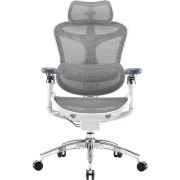 Крісло офісне Sihoo Doro C300 Pro Mesh White (DORO-C300-PRO-M102)