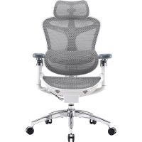 Крісло офісне Sihoo Doro C300 Pro Mesh White (DORO-C300-PRO-M102)