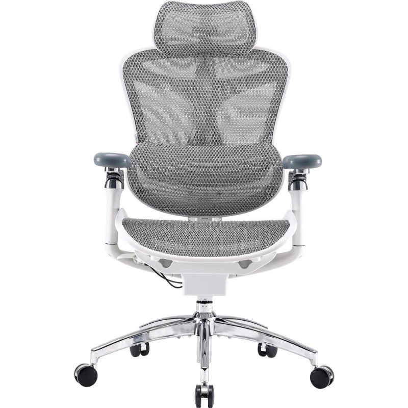 Крісло офісне Sihoo Doro C300 Pro Mesh White (DORO-C300-PRO-M102)