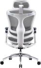 Кресло офисное Sihoo Doro C300 Pro Mesh White (DORO-C300-PRO-M102)