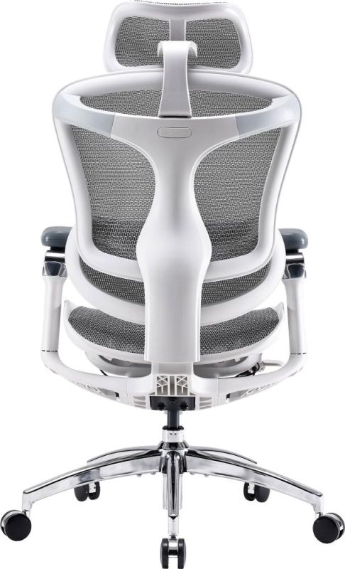 Кресло офисное Sihoo Doro C300 Pro Mesh White (DORO-C300-PRO-M102)