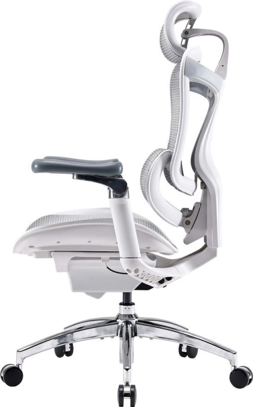 Кресло офисное Sihoo Doro C300 Pro Mesh White (DORO-C300-PRO-M102)