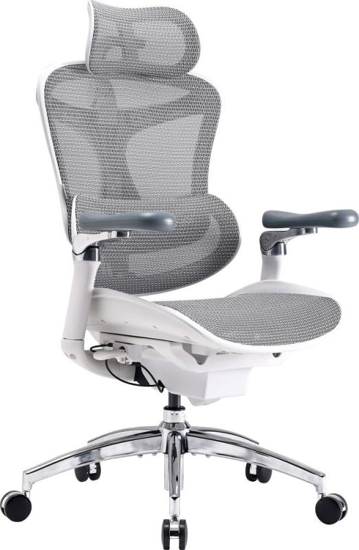 Кресло офисное Sihoo Doro C300 Pro Mesh White (DORO-C300-PRO-M102)