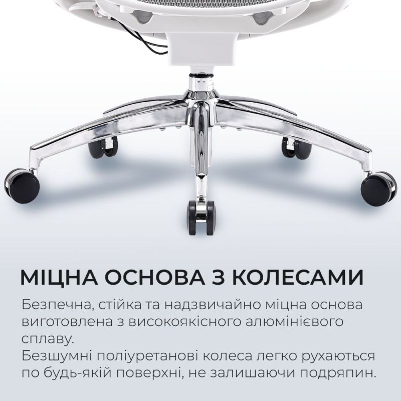 Кресло офисное Sihoo Doro C300 Pro Mesh White (DORO-C300-PRO-M102)