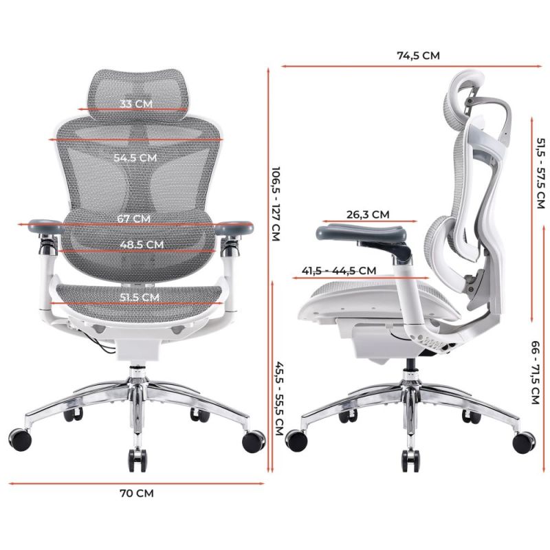 Кресло офисное Sihoo Doro C300 Pro Mesh White (DORO-C300-PRO-M102)