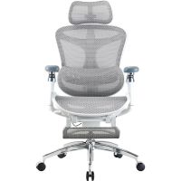Кресло офисное Sihoo Doro C300 Pro Mesh White with footrest (Doro-C300-Pro-M102-JT) (DORO-C300-PRO-M102-JT)