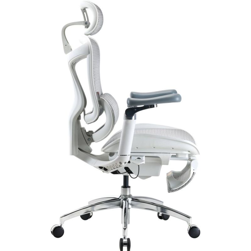 Крісло офісне Sihoo Doro C300 Pro Mesh White with footrest (Doro-C300-Pro-M102-JT) (DORO-C300-PRO-M102-JT)
