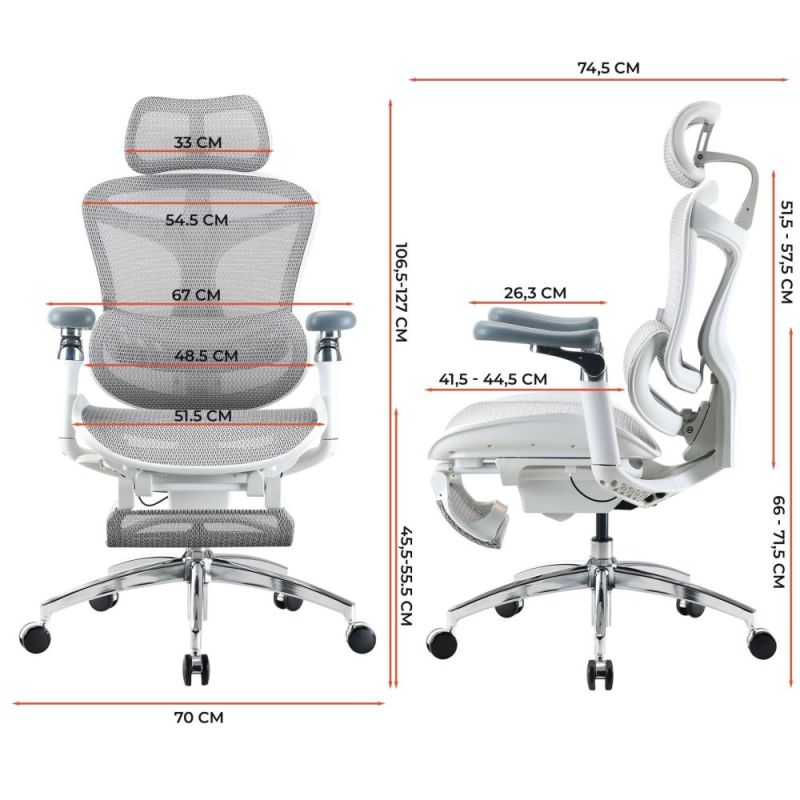 Крісло офісне Sihoo Doro C300 Pro Mesh White with footrest (Doro-C300-Pro-M102-JT) (DORO-C300-PRO-M102-JT)