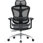 Крісло офісне Sihoo Doro C300L Mesh Black (DORO-C300L-A3-101)