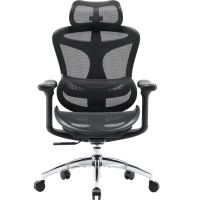 Крісло офісне Sihoo Doro C300L Mesh Black (DORO-C300L-A3-101)