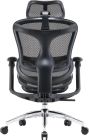 Кресло офисное Sihoo Doro C300L Mesh Black (DORO-C300L-A3-101)