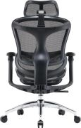 Кресло офисное Sihoo Doro C300L Mesh Black (DORO-C300L-A3-101)