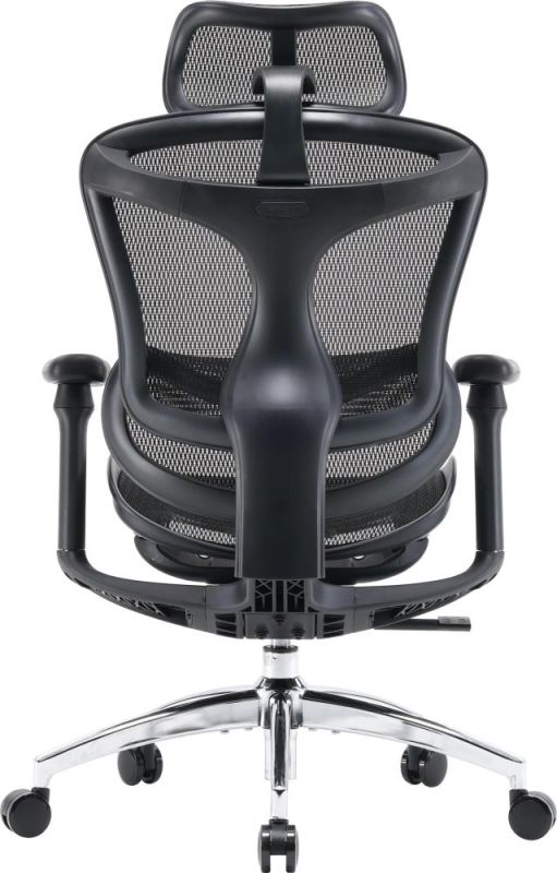Кресло офисное Sihoo Doro C300L Mesh Black (DORO-C300L-A3-101)