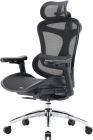 Кресло офисное Sihoo Doro C300L Mesh Black (DORO-C300L-A3-101)