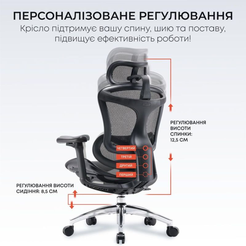 Кресло офисное Sihoo Doro C300L Mesh Black (DORO-C300L-A3-101)