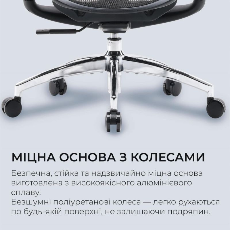 Кресло офисное Sihoo Doro C300L Mesh Black (DORO-C300L-A3-101)