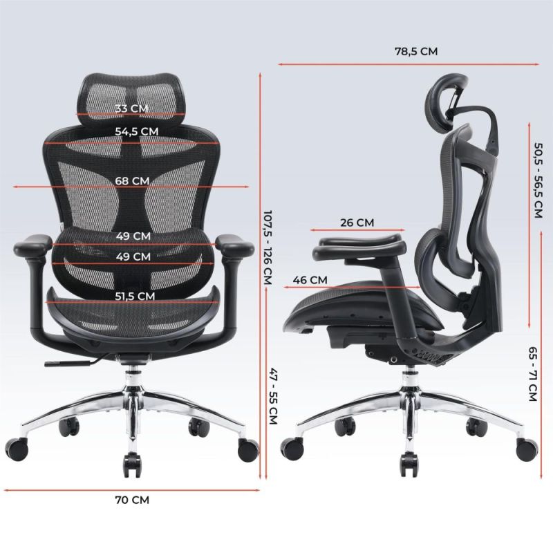 Кресло офисное Sihoo Doro C300L Mesh Black (DORO-C300L-A3-101)