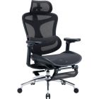 Крісло офісне Sihoo Doro C300L Mesh Black with footrest (Doro-C300L-A3-101-JT) (DORO-C300L-A3-101-JT)